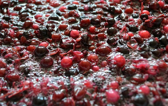 Grapes fermenting GettyImage